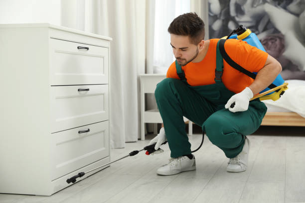 Professionelle Schädlingsbekämpfung – Schnell, sicher und nachhaltig